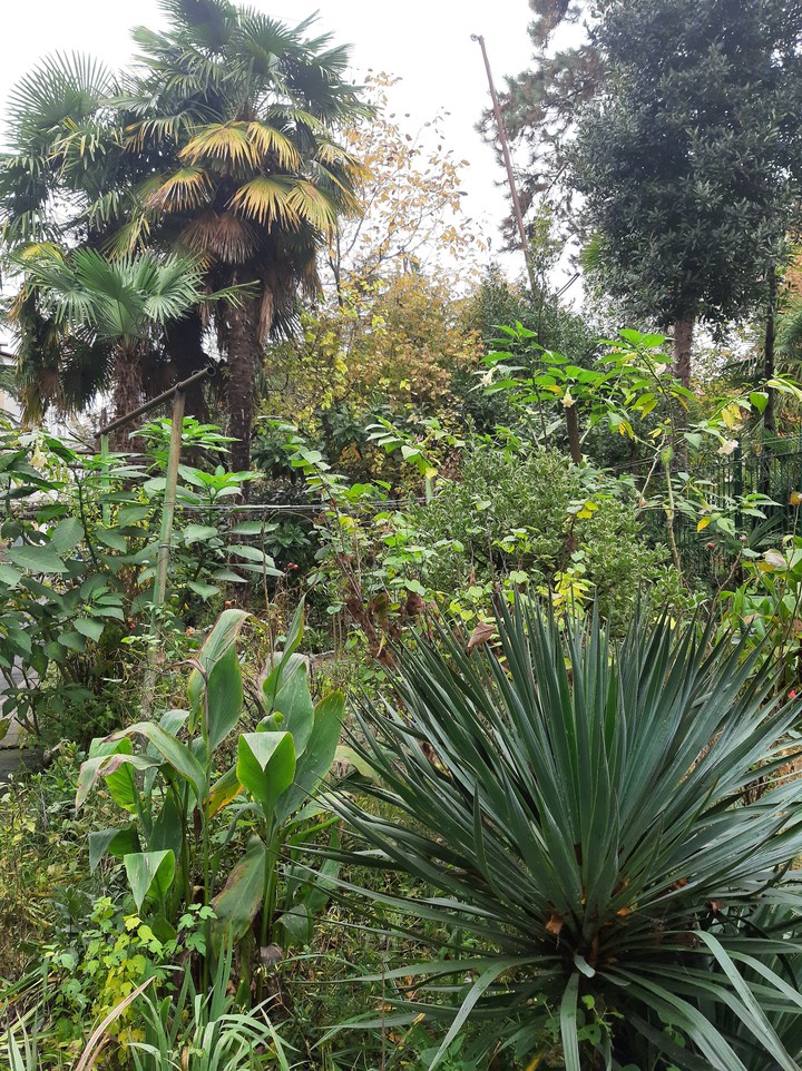 nature