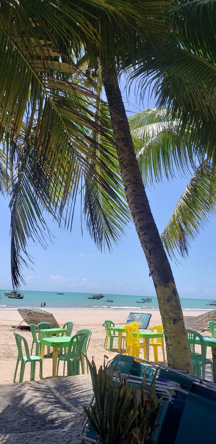 Praia Brasil