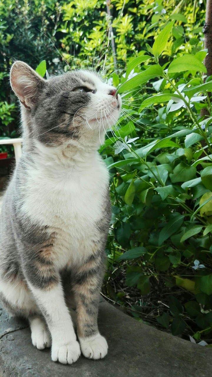 PROFUMO DI PRIMAVERA