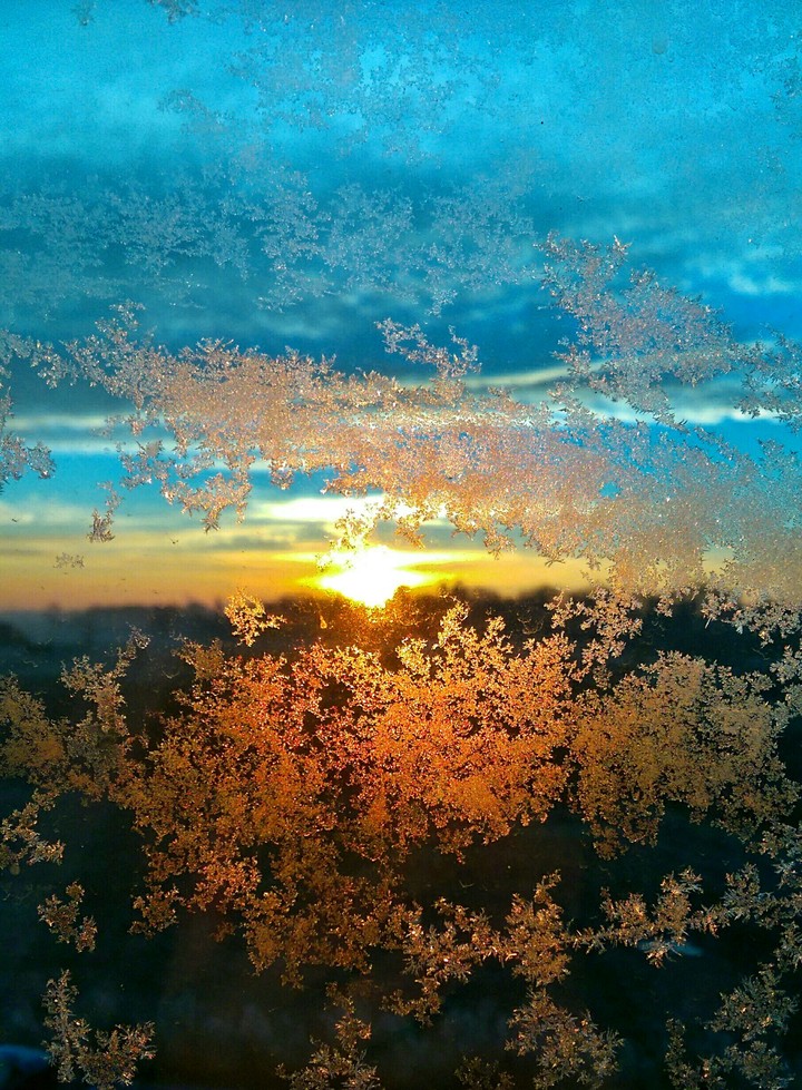 Frosty sunrise