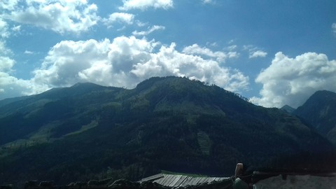 Mountin in summer