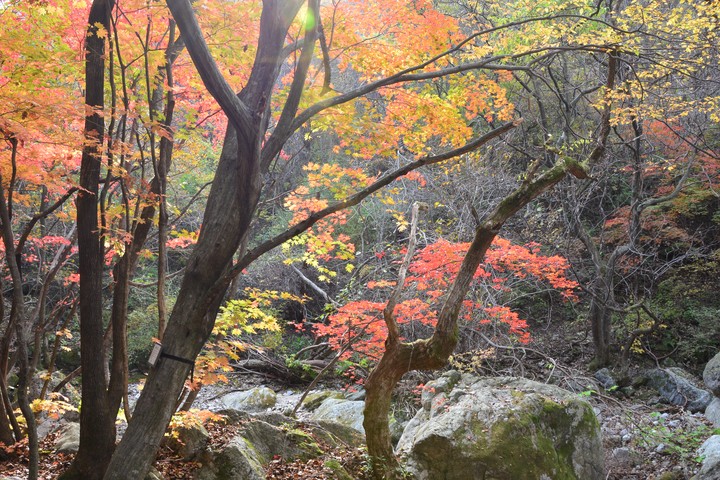 치악산이미지