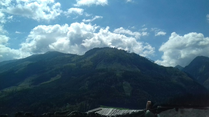 Mountin in summer
