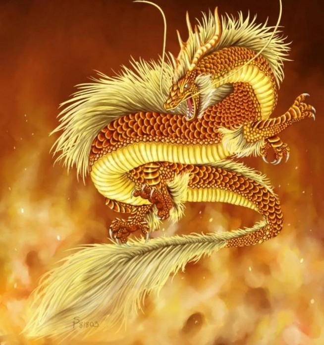 Gold dragon