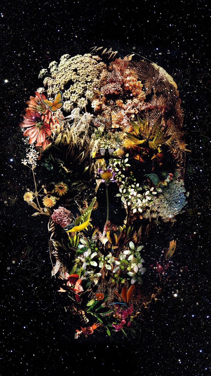 shiny skull