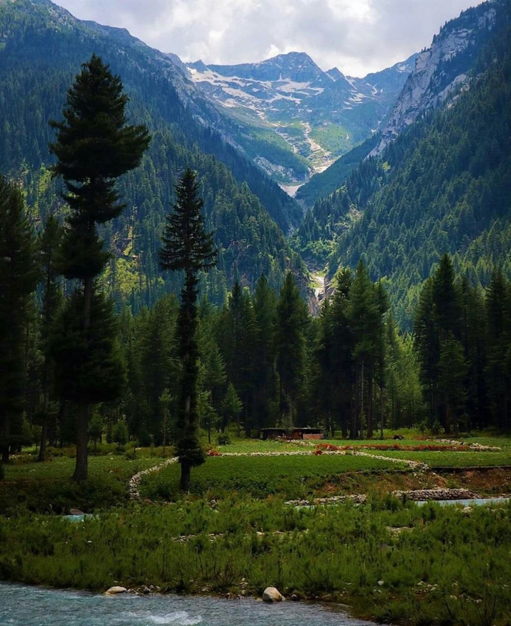 scene