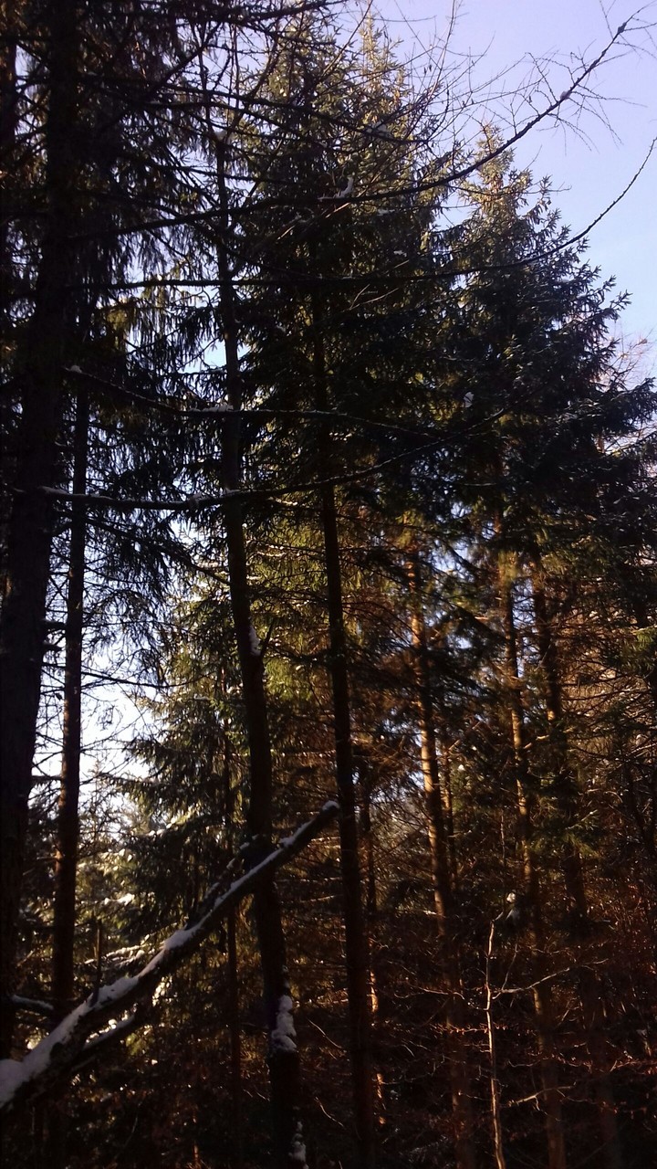 Winter 