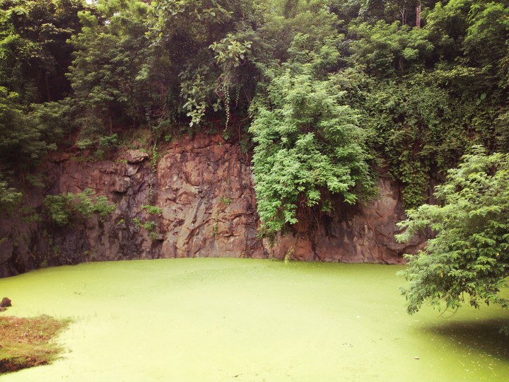 nature
