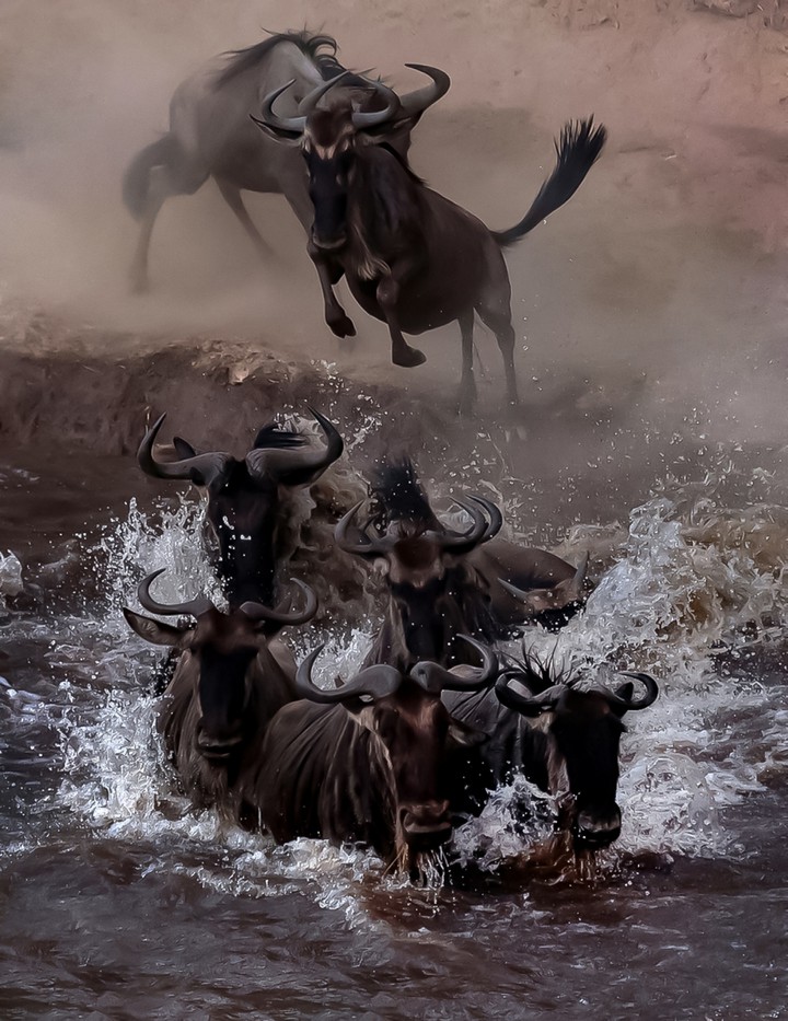 Jumping on the SS Wildebeest