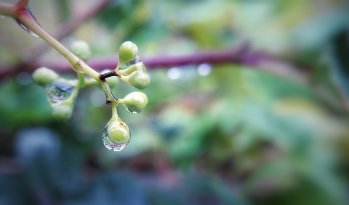 Drop