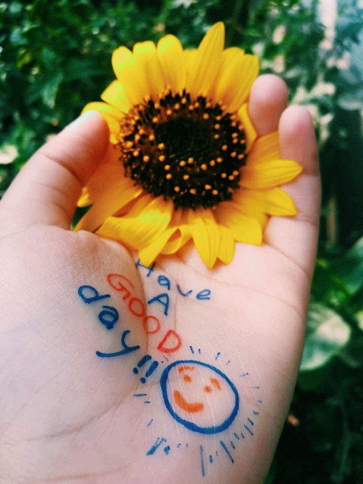 GOOD DAY (^_^) !!!