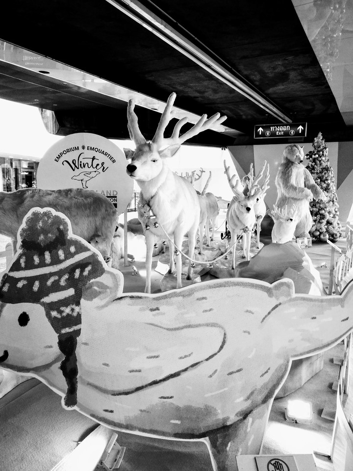 Merry Xmas