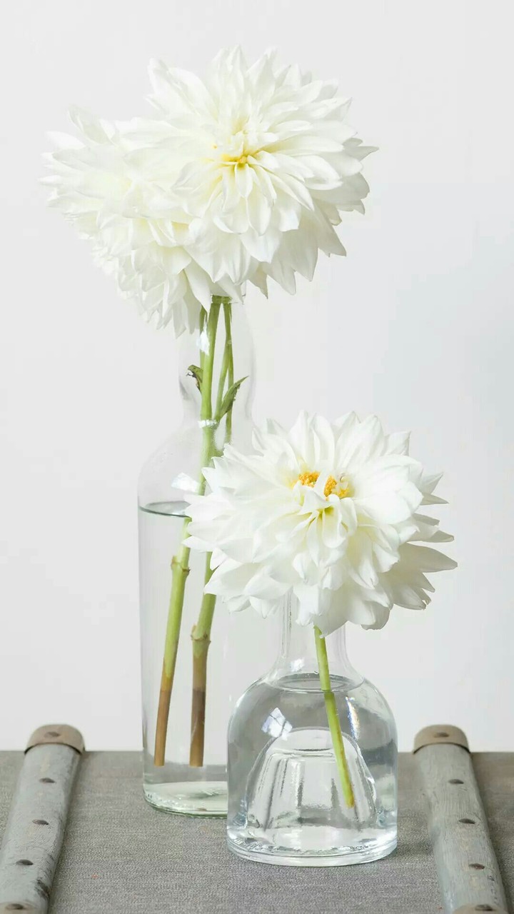 vase