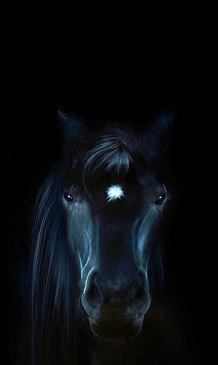 horse