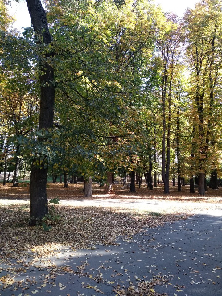 Осень