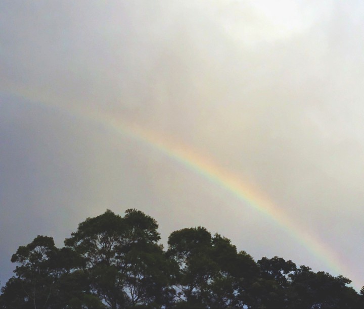 彩虹rainbow