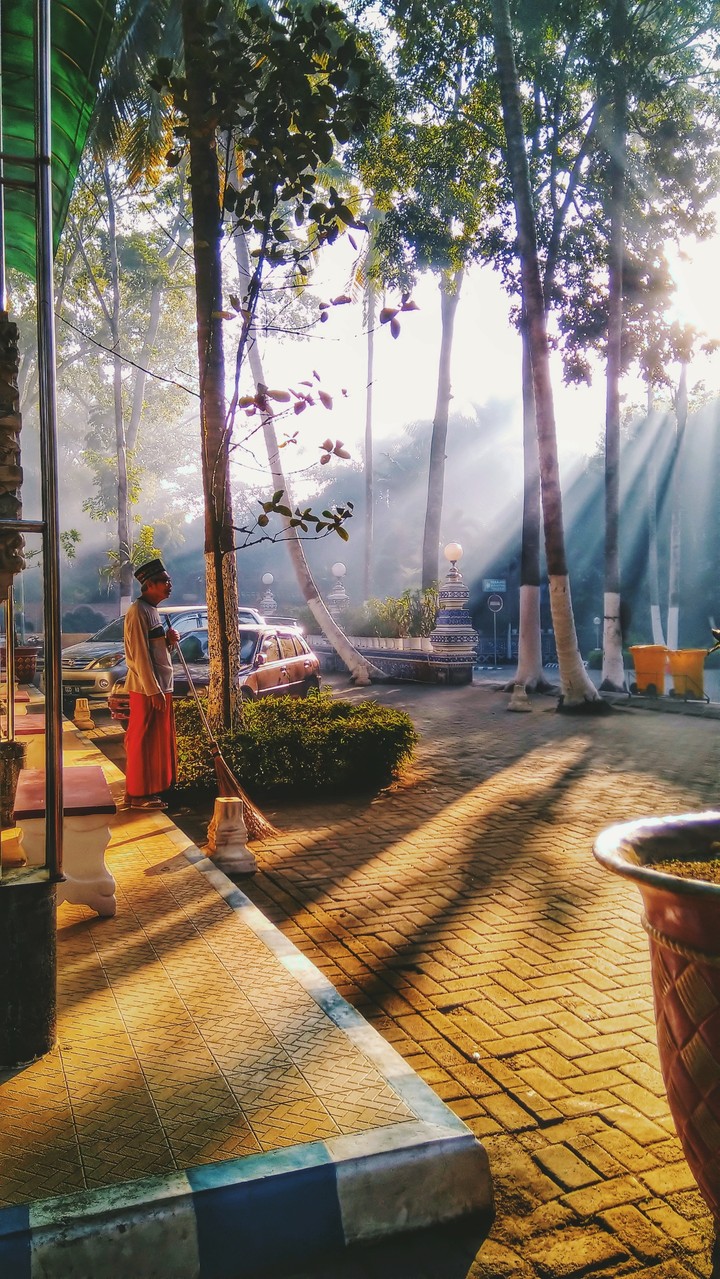 talk to the morning