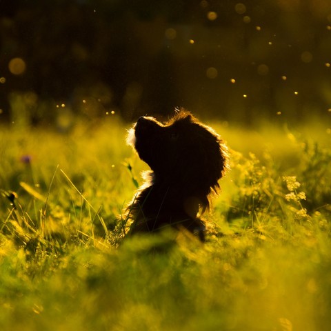 Feel every essence of the day....