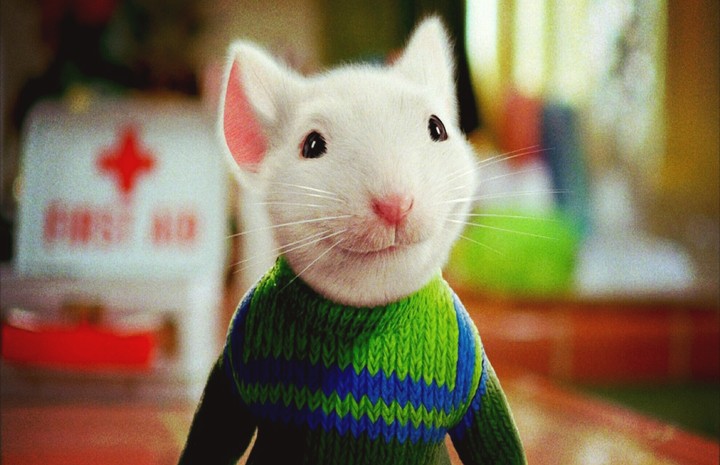Stuart Little Cute Full HD Wallpaper