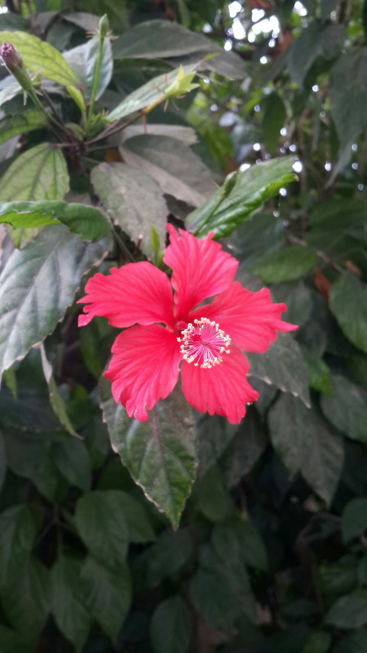 my click