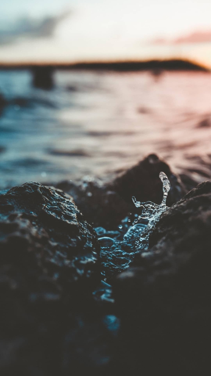 Sea