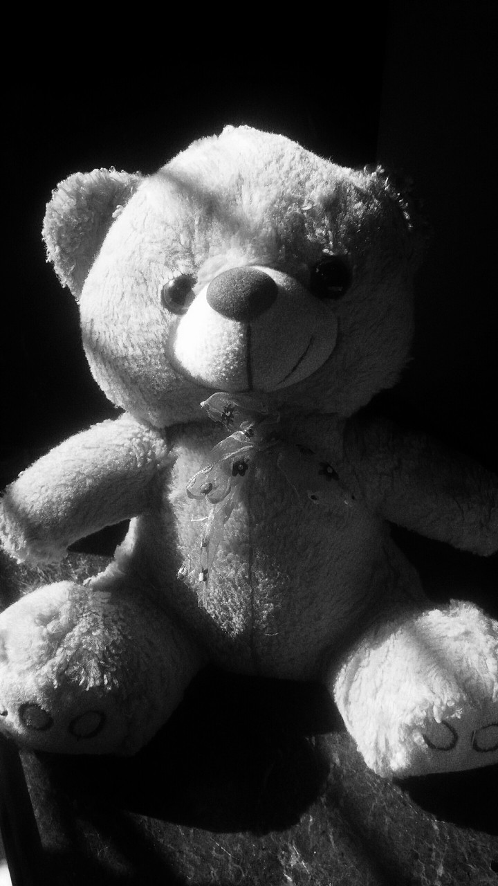 Teddy