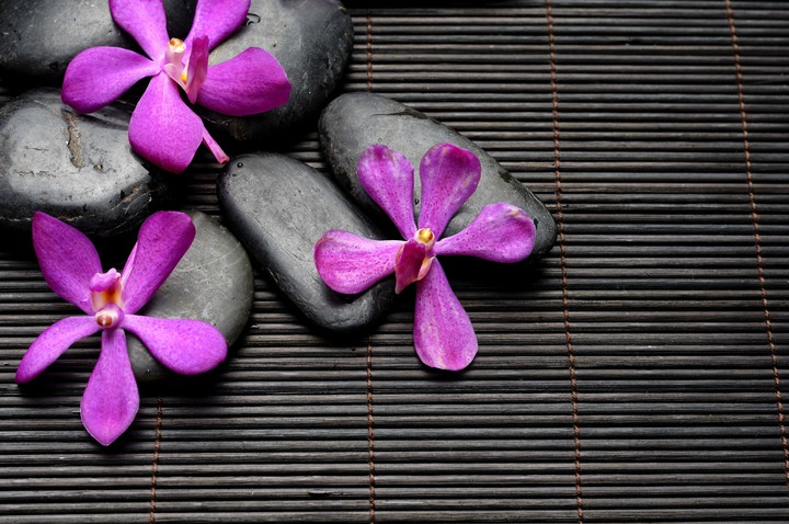 Stones. Flowers