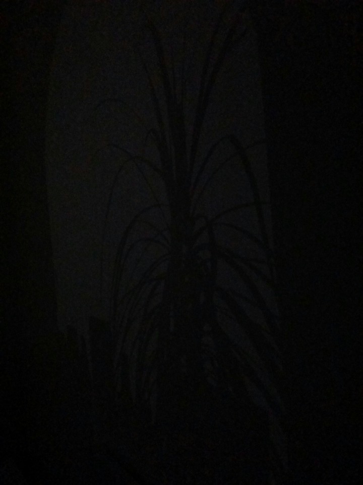 D A R K