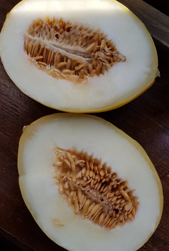 melon