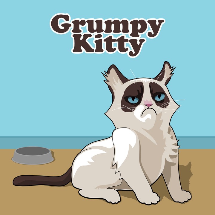 Funny Grumpy Kitty Cartoon Typography
