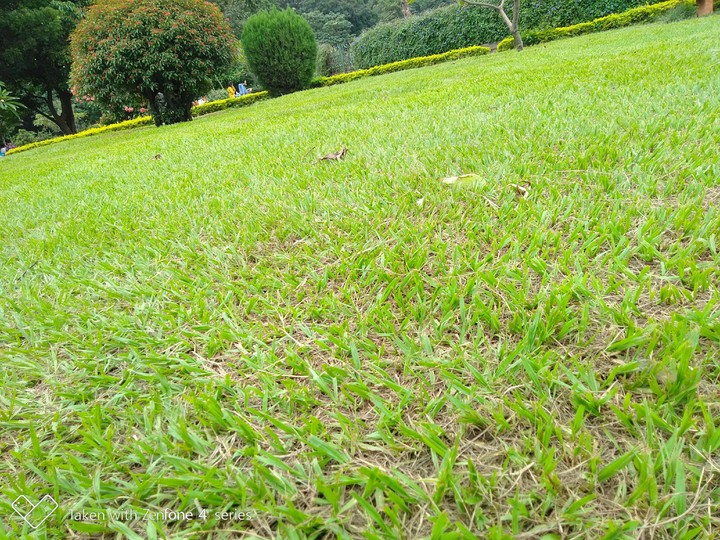 Park