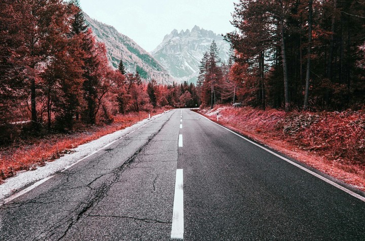 Enchanted road