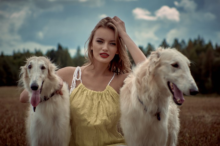 ,