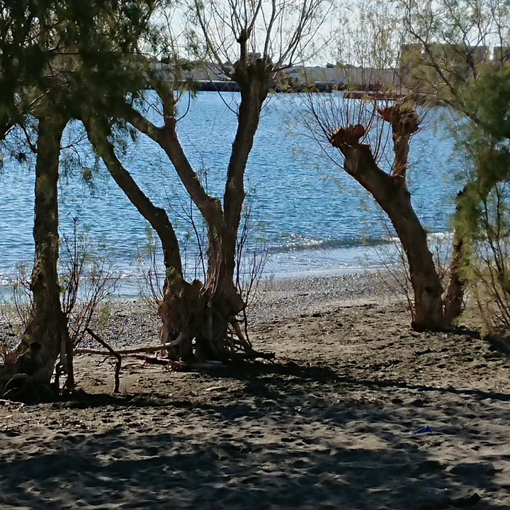 beautiful beach