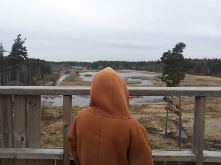 Finnish View