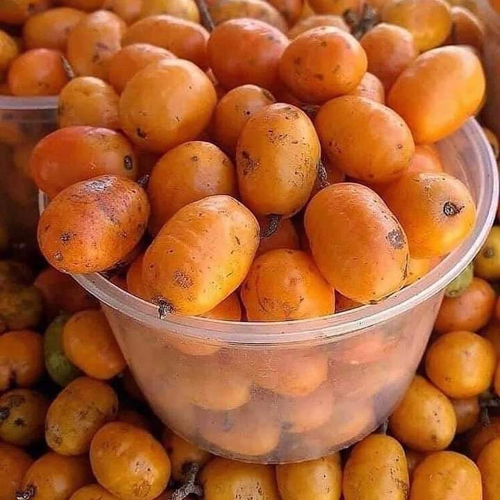 Para todos vocês amigos queridos