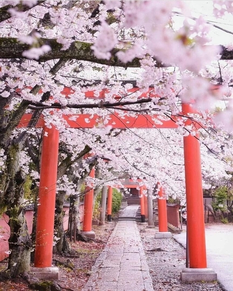 walkway, temple wallpapers