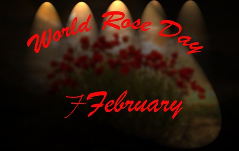RoSe day