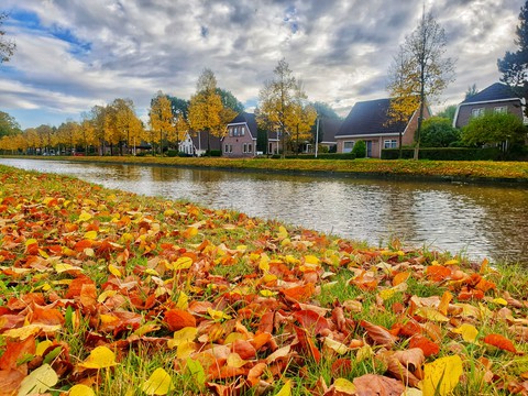 Nederland