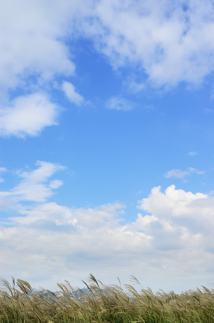 Skyblue