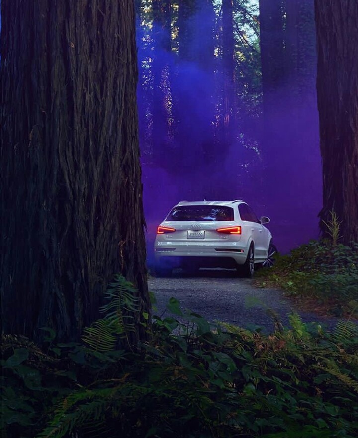 audi