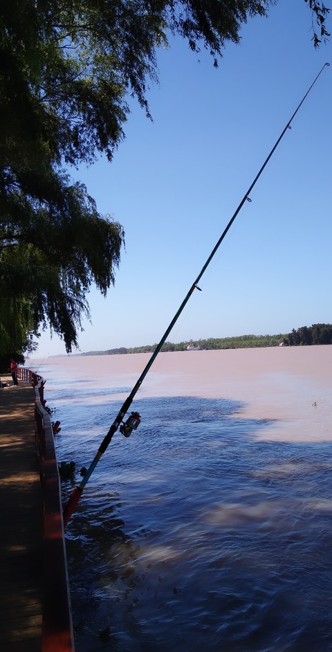 fishing