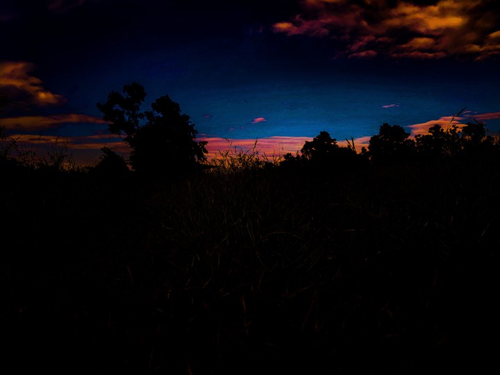 early morning