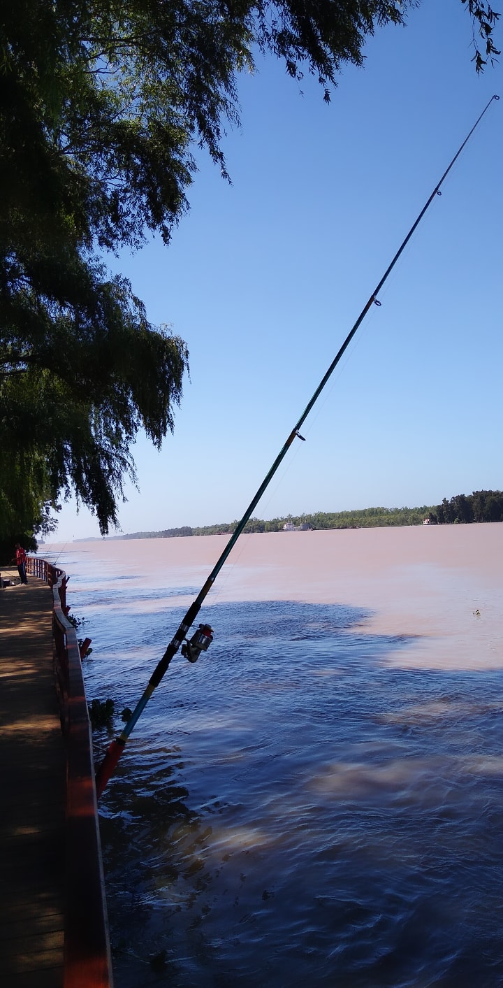 fishing