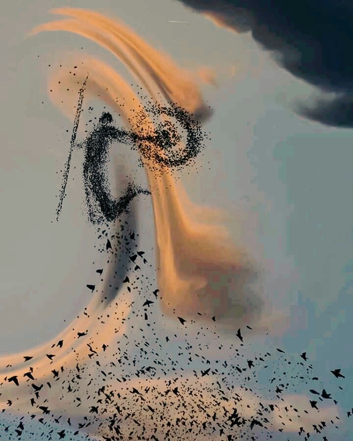 Warrior