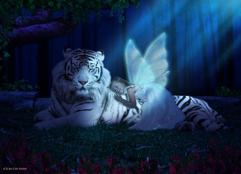 Sing me to Sleep