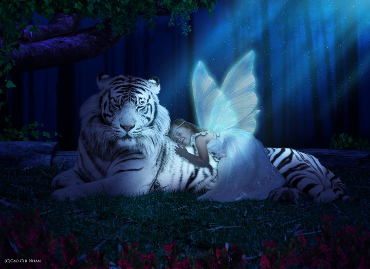 Sing me to Sleep