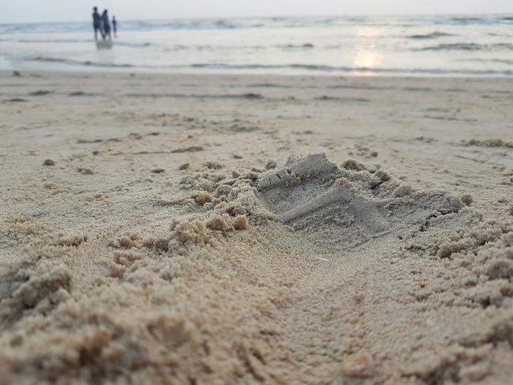 colva beach goa