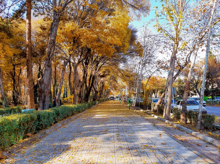 autumn way