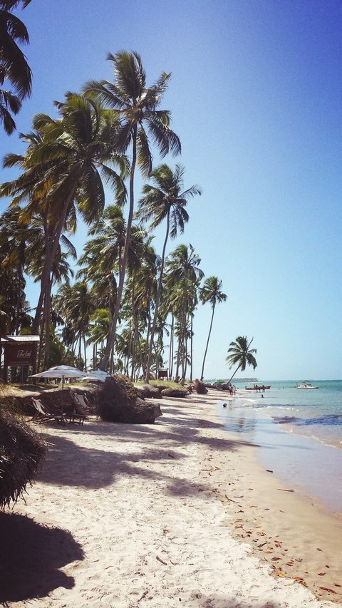 Paradise